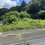 高知市春野町弘岡中　売土地 画像4
