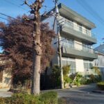 高知市鴨部 売土地