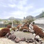 高知市大津甲 中古一戸建て 画像8 高知市大津甲 中古一戸建て 画像8