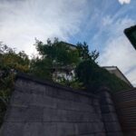 高知市福井町　中古一戸建て 画像3